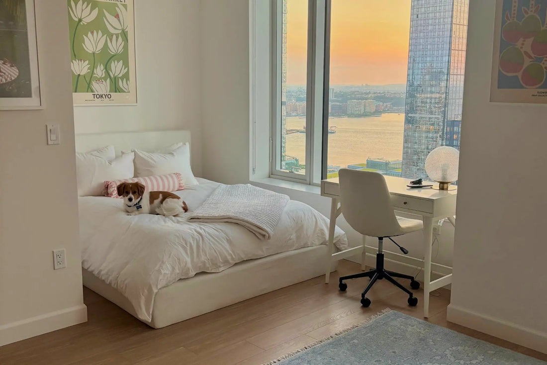 Bedroom with sunset view, dog on top of bed.