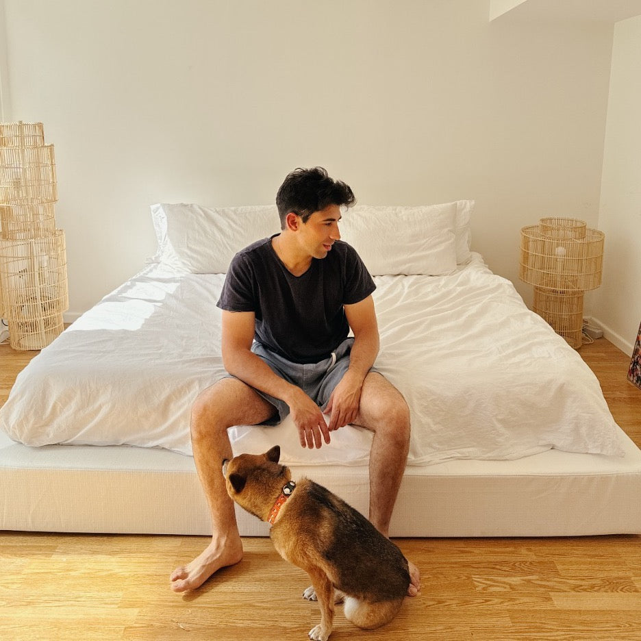 Should Your Dog Sleep In Your Bed?