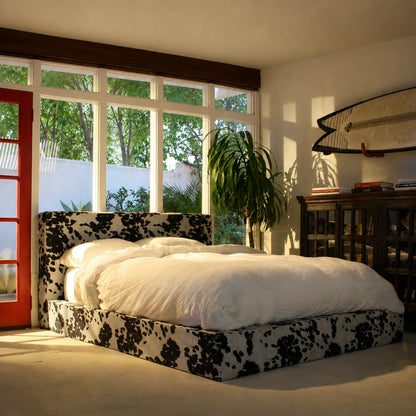 Vegan cowhide all cushioned bed in a room with windows and a red door