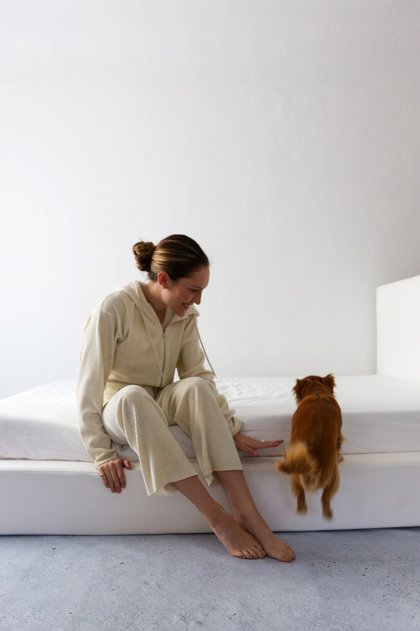 Dog Jumping on a White Upholstered Bed Frame