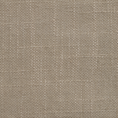 Sahara