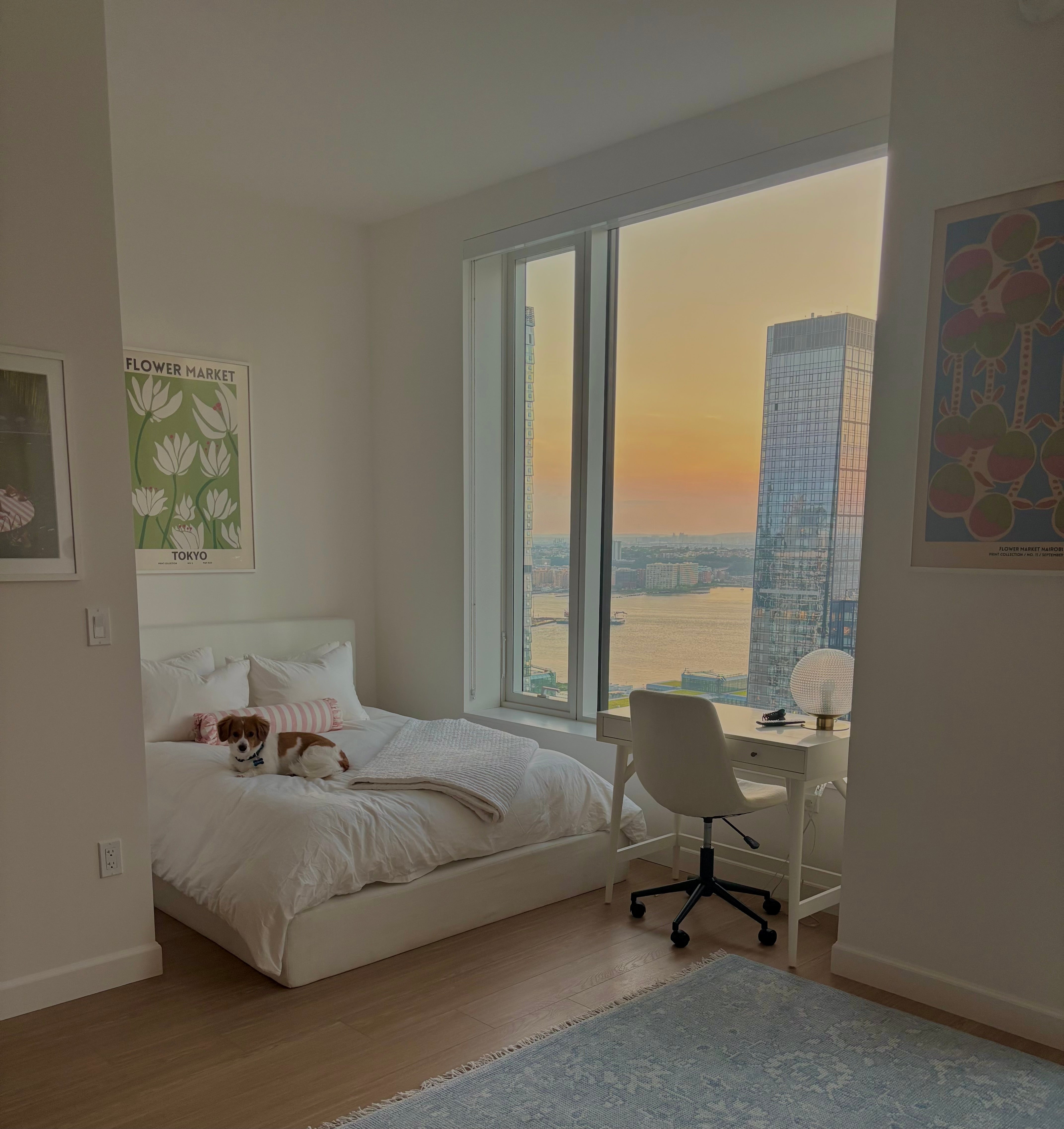 White, upholstered bed frame dog on the bed and a sunset skyline outside