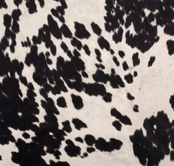 Vegan Cowhide
